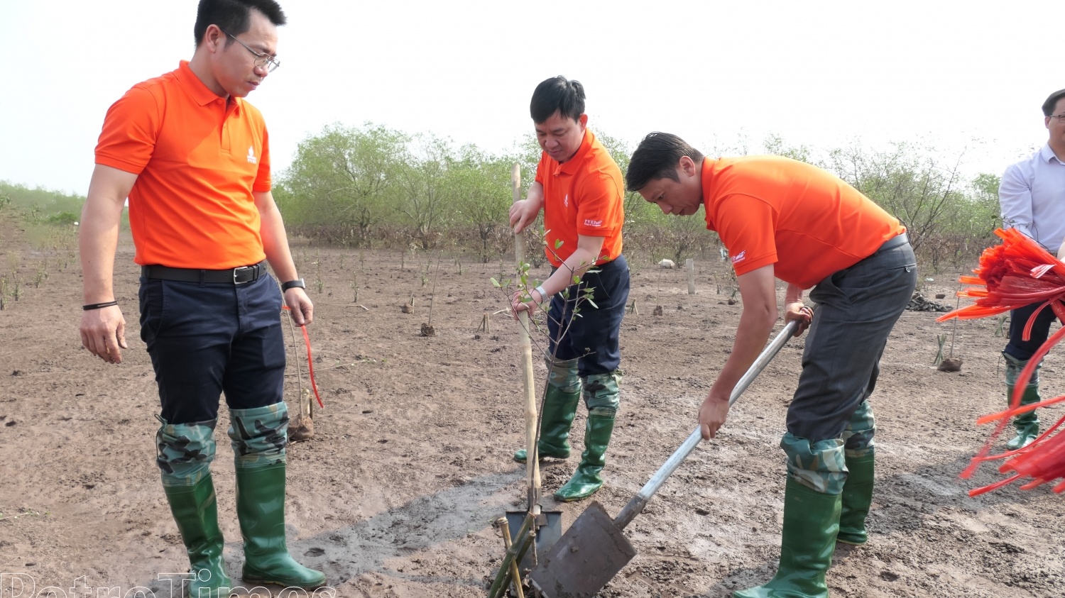 PVEP tích cực triển khai công tác trồng cây xanh ứng phó với biến đổi khí hậu