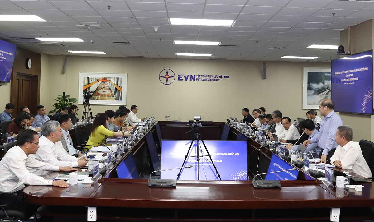 Đoàn giám sát Ủy ban Tài chính - Ngân sách của Quốc hội khóa XV làm việc với EVN