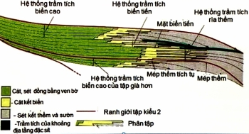 Các hệ thống trầm tích liên quan với đường bờ