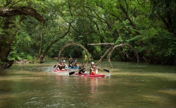 Trải nghiệm các trò chơi trên cây và hoạt động qua đêm tại OZO Park