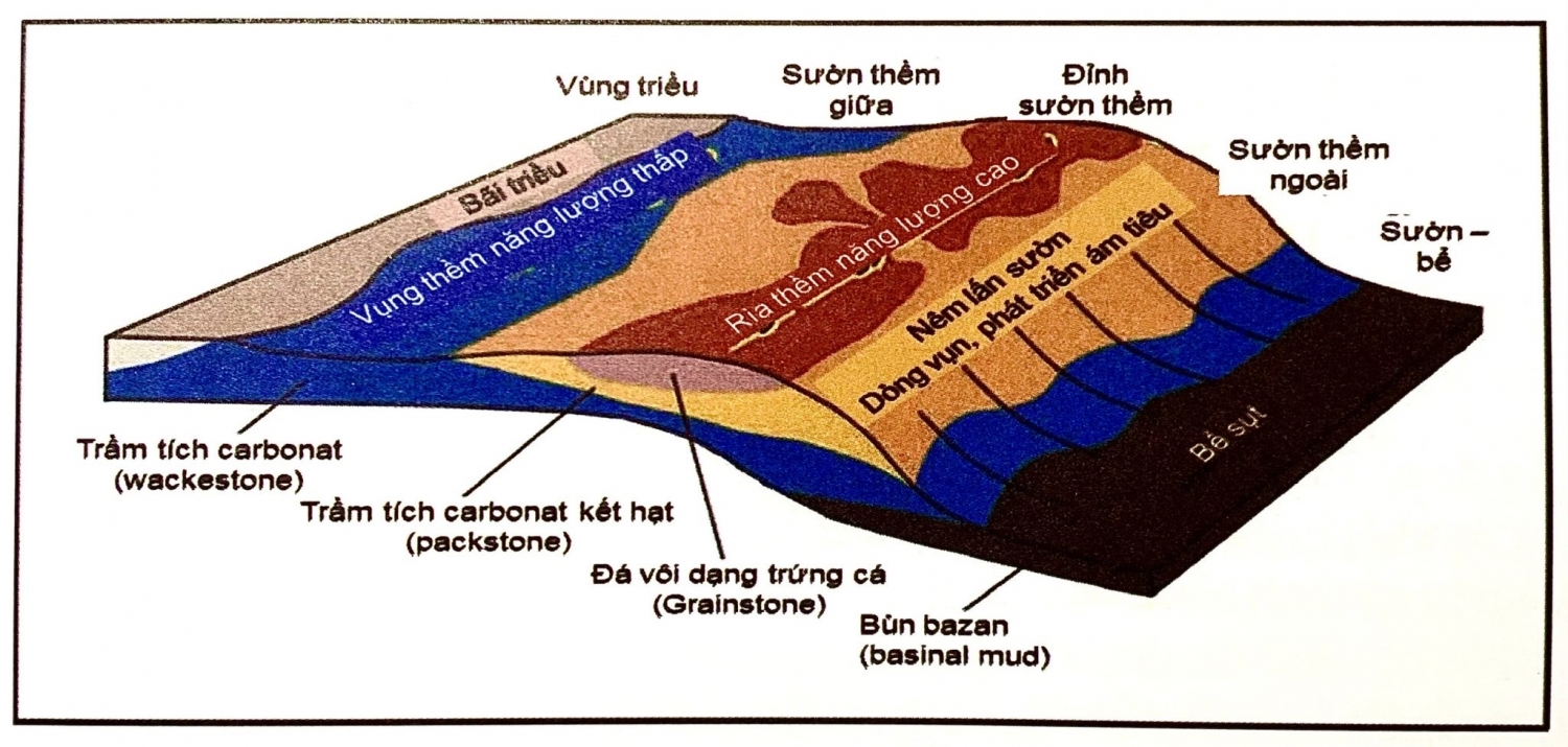 Địa tầng phân tập với đá carbonat