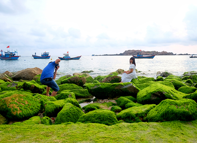 Check-in bãi đá rêu biển ở Nhơn Hải (Quy Nhơn, Bình Định)