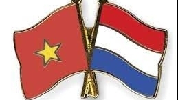 Tin Bộ Ngoại giao: Trao đổi thư mừng nhân kỷ niệm 50 năm Ngày thiết lập quan hệ ngoại giao Việt Nam - Hà Lan
