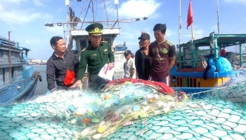 Ngư dân đồng hành, chung tay nói không với khai thác IUU