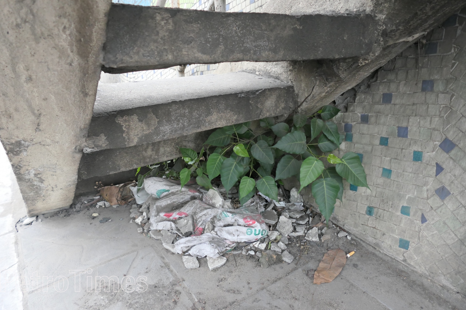 Hà Nội: Cận cảnh con đường gốm sứ xuống cấp, ô nhiễm nghiêm trọng