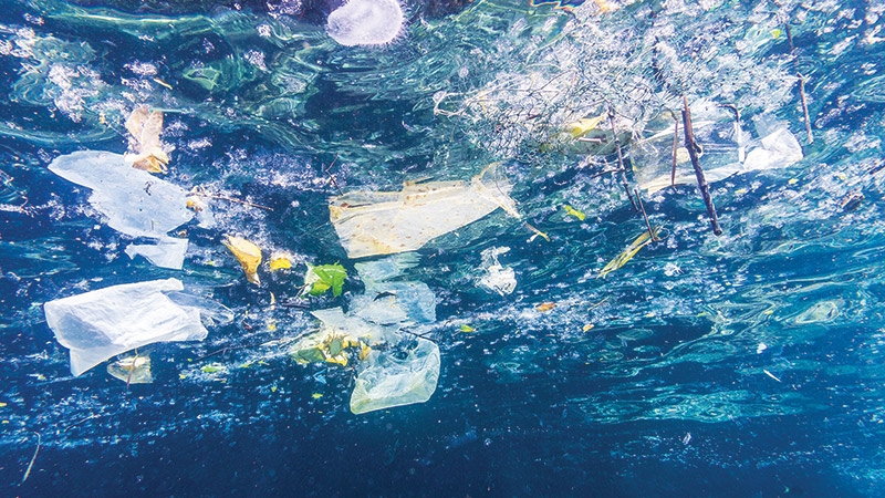 Rác thải nhựa - Kẻ thù của đại dương
