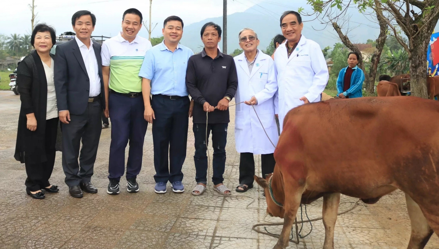 Chương trình nhân ái dành tặng 10 con bò giống cho các gia đình còn khó khăn tại huyện Phú Lộc, tỉnh Thừa Thiên – Huế