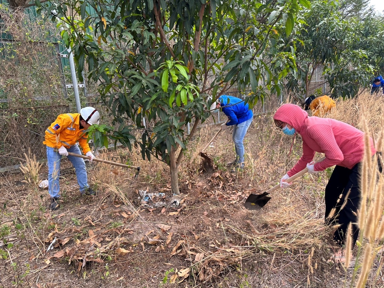 Chương trình chăm sóc cây xanh tại LGDS mở rộng Nhơn Trạch – Đồng Nai
