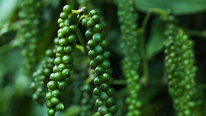 Bộ Công Thương đẩy mạnh xúc tiến thương mại