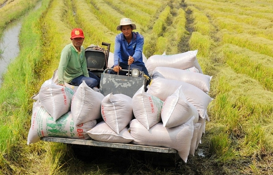 Tin tức kinh tế ngày 16/4: Giá gạo xuất khẩu của Việt Nam giữ ổn định