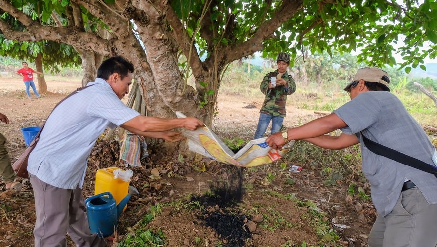 Than sinh học có vai trò gì với net-zero