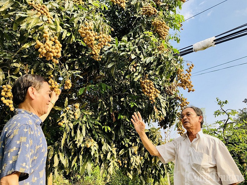 Bài 3 - Để thương mại biên giới được trả về đúng bản chất