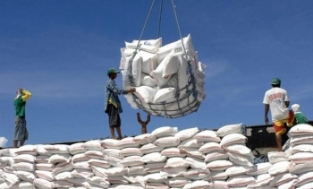 Tin tức kinh tế ngày 26/4: Xuất khẩu gạo mang về hơn 980 triệu USD trong quý I