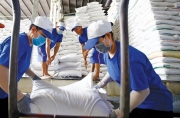 Tin tức kinh tế ngày 1/5: Giá gạo xuất khẩu Việt Nam vượt Thái Lan