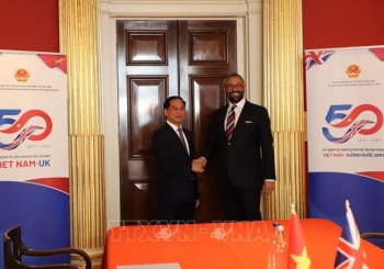 Bộ trưởng Ngoại giao Bùi Thanh Sơn gặp Ngoại trưởng Anh