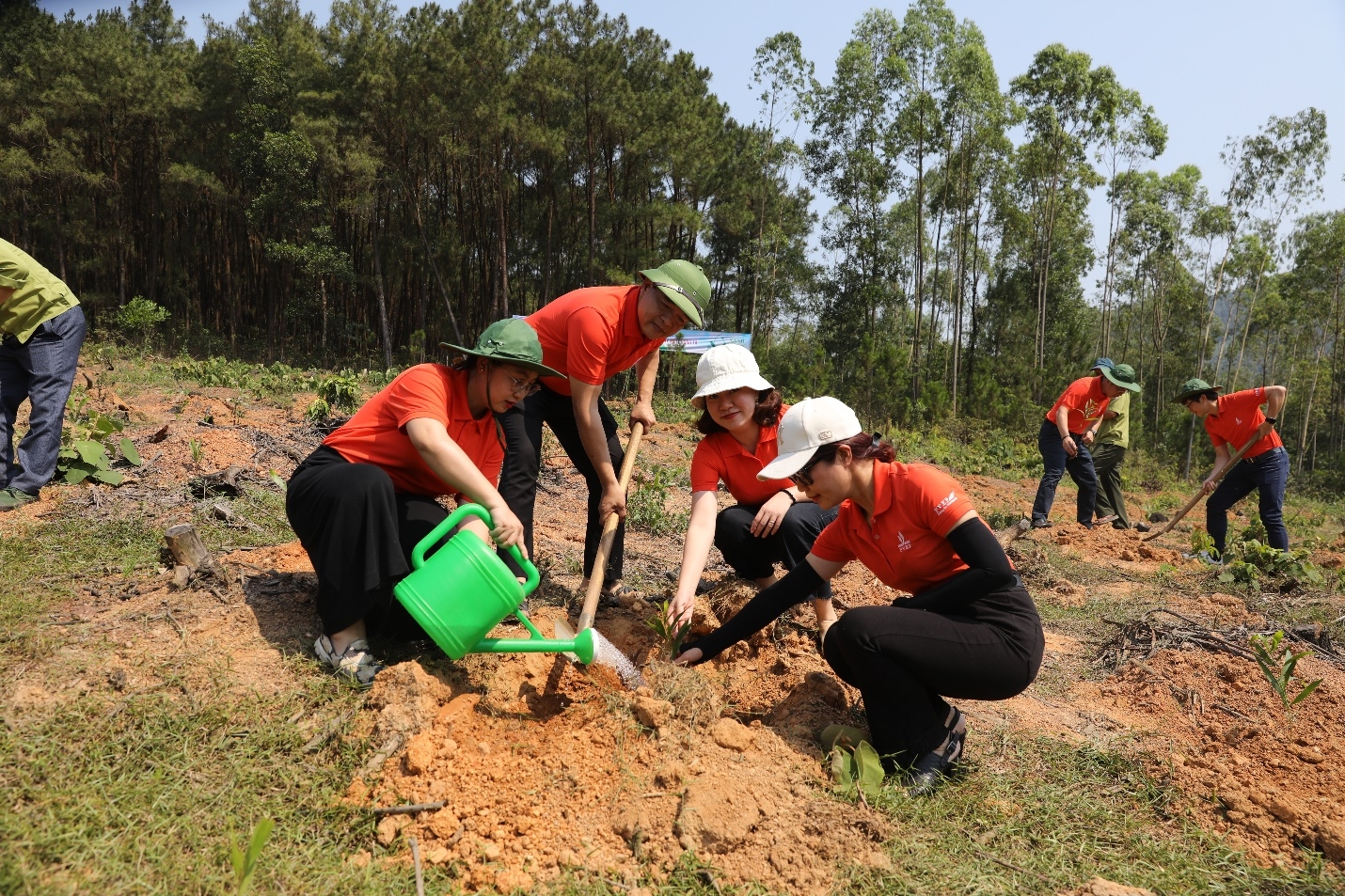 PVEP phát động trồng cây xanh và trao tài trợ an sinh xã hội tại tỉnh Nghệ An