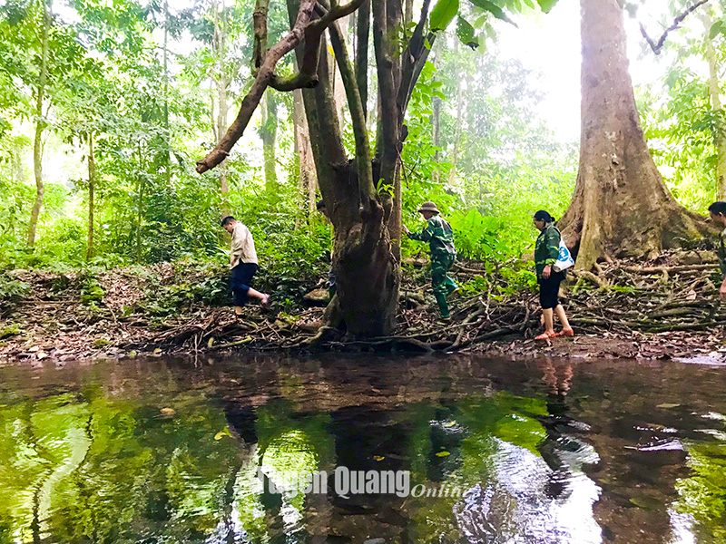 Tuyên Quang: Du lịch rừng Bó Kim - Nà Niếng