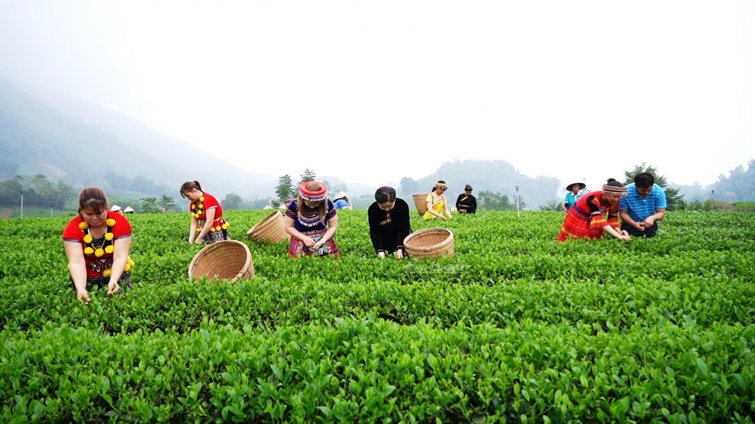 Xúc tiến đầu tư bất động sản trong du lịch nông nghiệp Việt Nam
