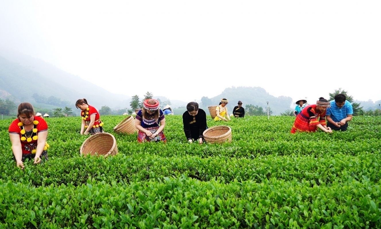 Xúc tiến đầu tư bất động sản trong du lịch nông nghiệp Việt Nam