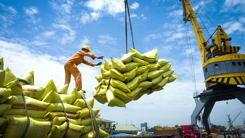 Các thị trường xuất khẩu gạo của Việt Nam đều ghi nhận những tín hiệu tích cực.