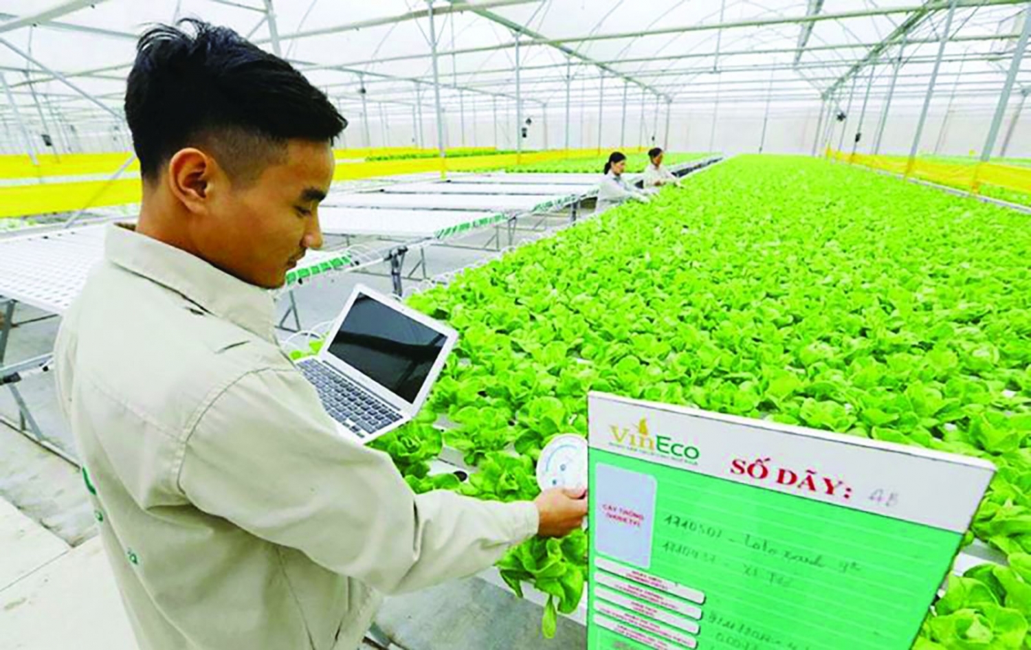 Bài học kinh tế nông nghiệp Trung Quốc