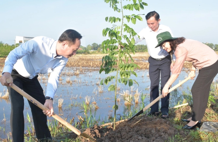 Chủ tịch Bạc Liêu: "Mỗi người, mỗi nhà cùng trồng, bảo vệ cây xanh"