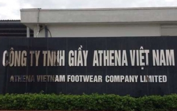Công ty TNHH Giầy Athena Việt Nam - chi nhánh Nga Sơn bị phạt 300 triệu đồng