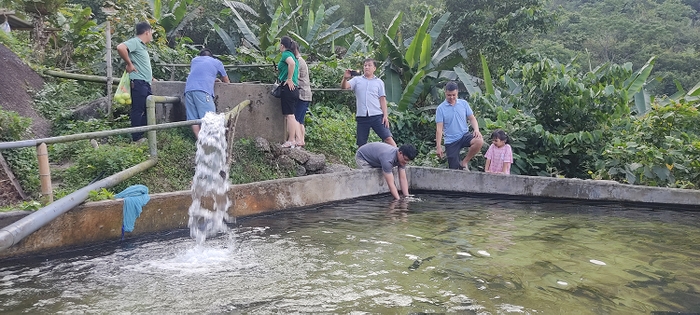 Trải nghiệm thú vị rừng trúc, khu nuôi cá tầm ở Phiêng Phàng