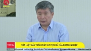 Sửa Luật Đấu thầu để phát huy tự chủ của doanh nghiệp