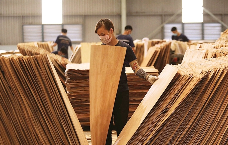 Doanh nghiệp xuất khẩu rơi vào thế khó