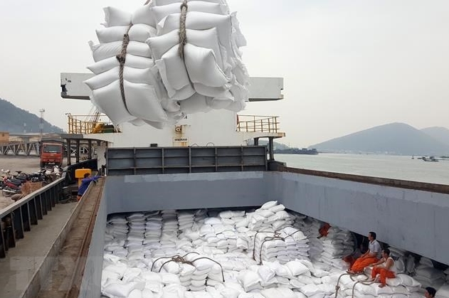 Tin tức kinh tế ngày 31/5: Xuất khẩu gạo năm 2023 dự kiến vượt 7 triệu tấn