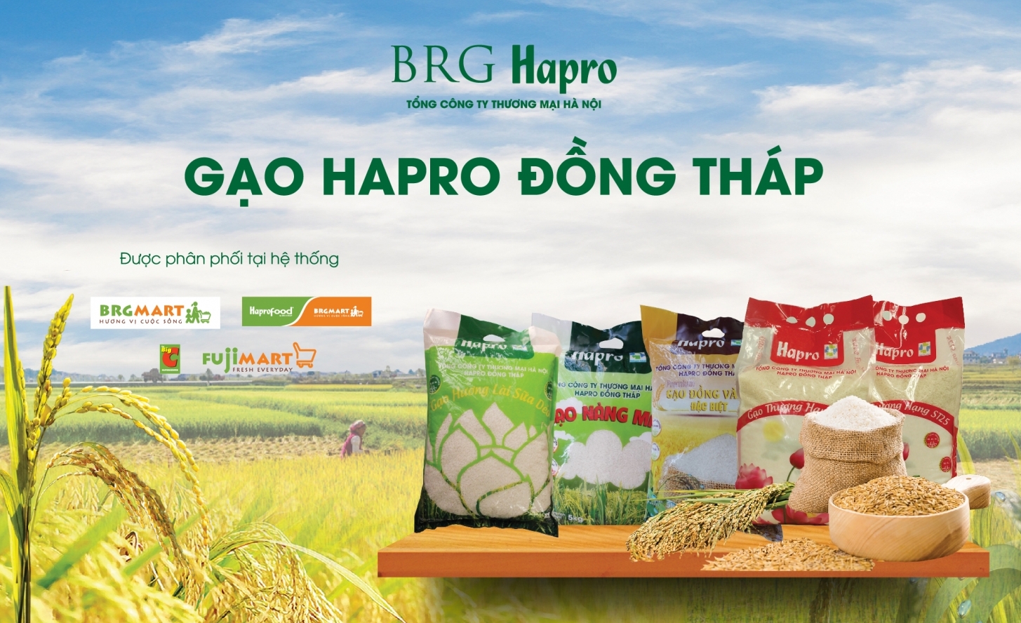 Gạo Hapro Đồng Tháp - Tự hào thương hiệu quốc gia