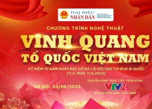 Tự hào dân tộc cùng “Vinh quang Tổ quốc Việt Nam”