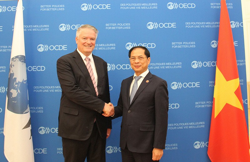 Bộ trưởng Ngoại giao Bùi Thanh Sơn và Tổng thư ký OECD Mathias Cormann. (Ảnh: Bảo Chi)