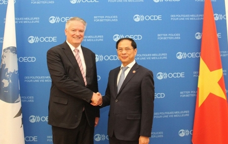 Bộ trưởng Ngoại giao Bùi Thanh Sơn gặp Tổng Thư ký OECD