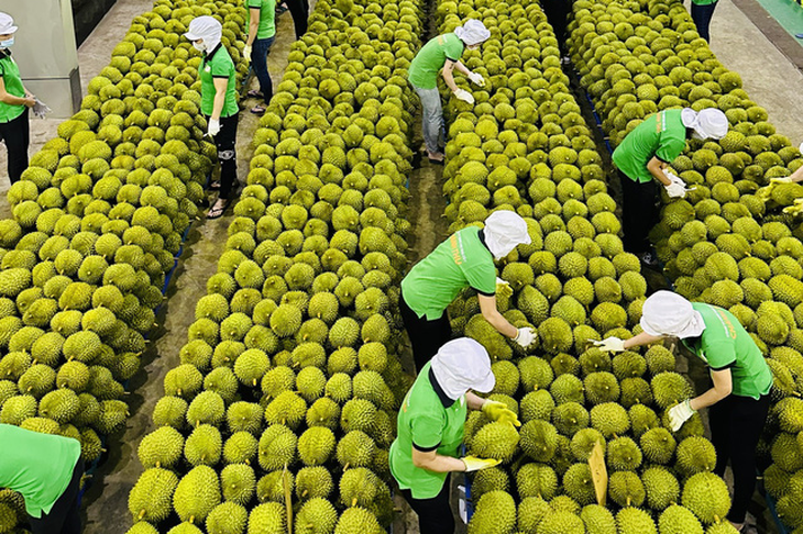 Trung Quốc - thị trường tiềm năng lớn của nông sản Việt