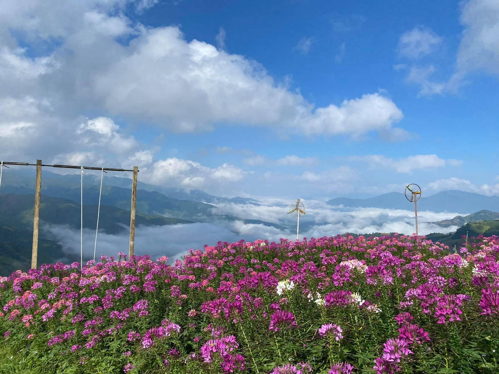 Khu du lịch Pha Đin Pass - Rực rỡ bốn mùa hoa
