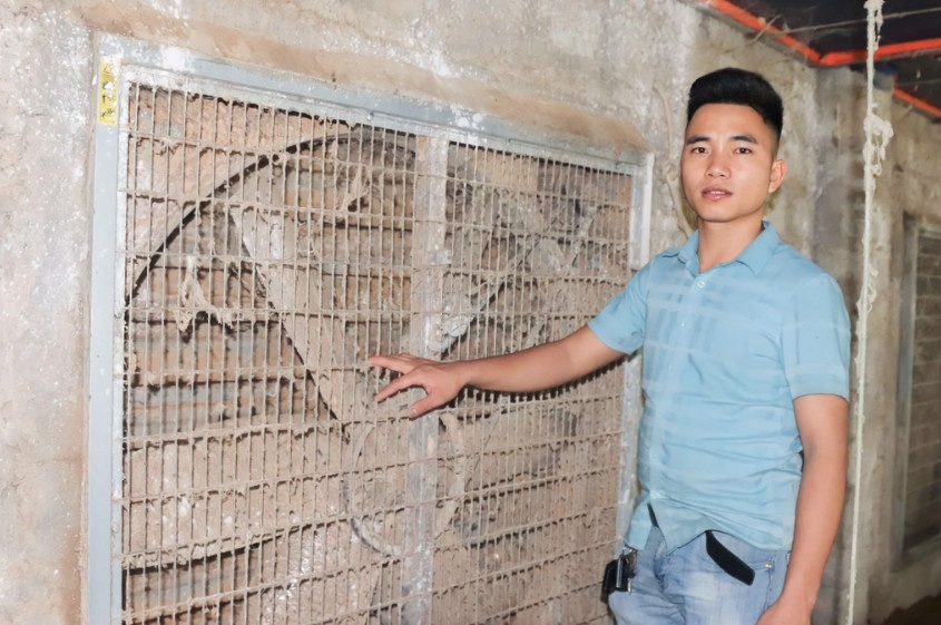 Ông chủ trẻ cho lắp đặt hệ thống quạt làm mát quanh chuồng trại, trần nhà để giúp gà tránh nóng vào mùa hè (Ảnh: V.C.).