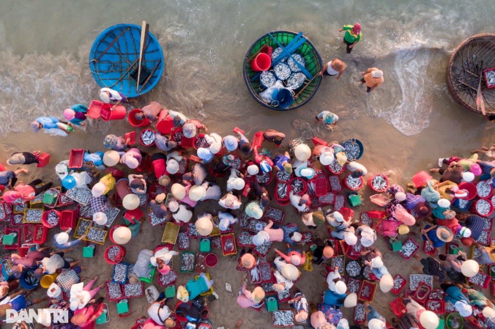 Hình ảnh chợ cá trên bãi biển lớn nhất miền Trung