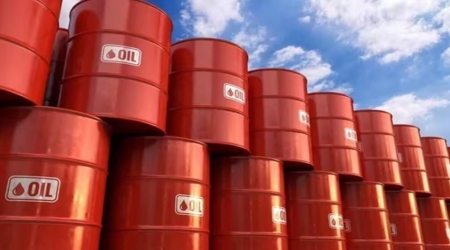 Nhập khẩu dầu Nga: Ấn Độ đã đến giới hạn?