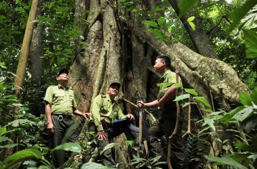 Các kiểm lâm Vườn quốc gia Cúc Phương với nhiệm vụ tuần tra bảo vệ rừng, có tình yêu thiên nhiên vô bờ bến (Ảnh: TB).