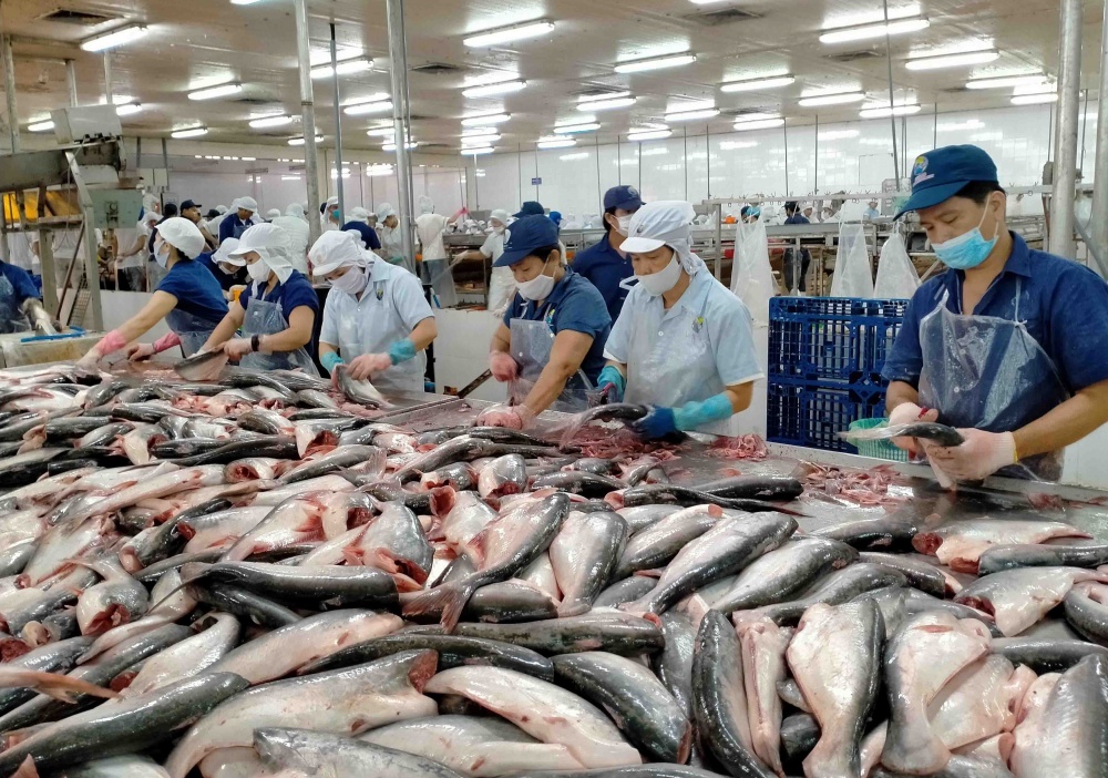 Tin tức kinh tế ngày 5/7: Xuất khẩu cá tra sang thị trường CPTPP giảm mạnh