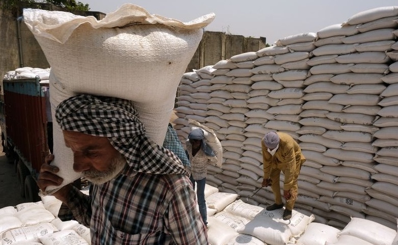 Ấn Độ xem xét cấm xuất khẩu nhiều loại gạo