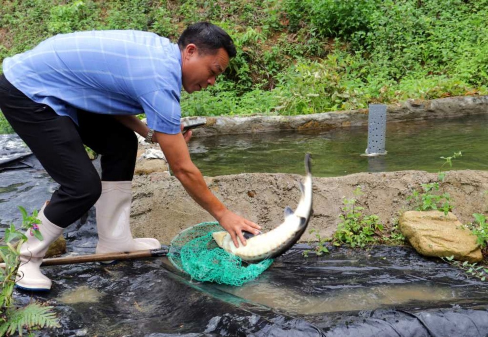 Trải nghiệm thác và trang trại cá nước lạnh ở Tiên Yên
