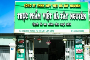 Lâm Đồng: Xử phạt công ty Việt Hà Tây Nguyên 152 triệu đồng