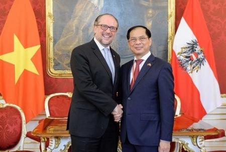 Bộ trưởng Ngoại giao Bùi Thanh Sơn gặp Bộ trưởng Ngoại giao Áo