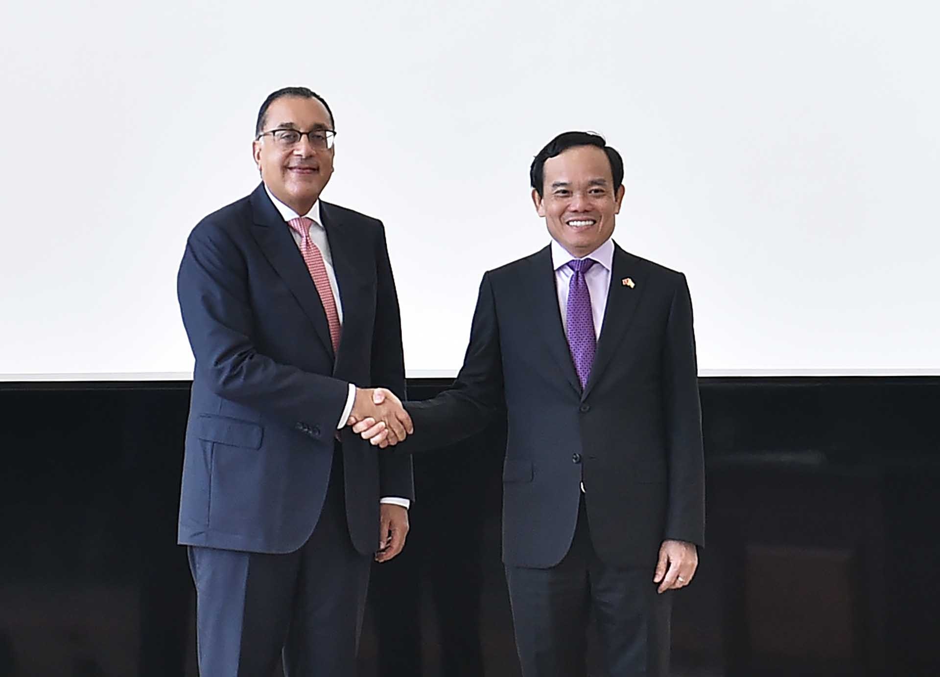 Phó Thủ tướng Trần Lưu Quang và Thủ tướng Ai Cập Mostafa Madbouly. (Nguồn: VGP)