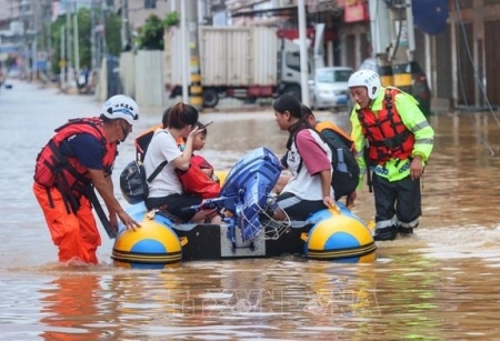 Tin Bộ Ngoại giao: Điện thăm hỏi về thiệt hại do mưa bão tại Trung Quốc