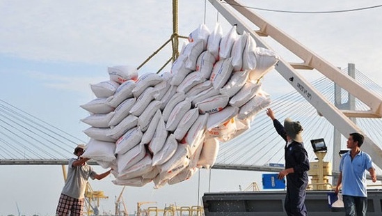 VCCI kiến nghị giảm các điều kiện về kinh doanh xuất khẩu gạo