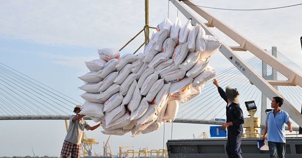 VCCI kiến nghị giảm các điều kiện về kinh doanh xuất khẩu gạo